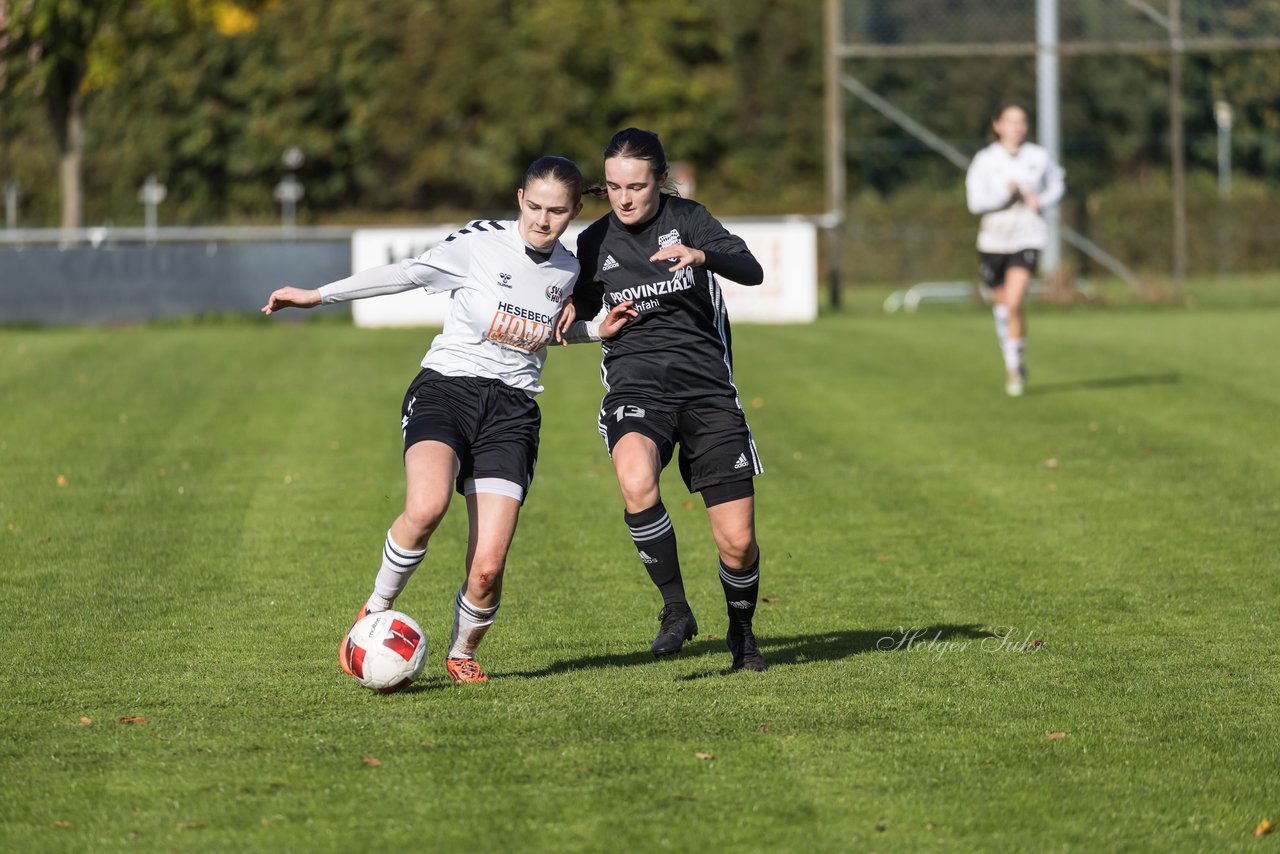 Bild 382 - F SV Henstedt Ulzburg2 - FSG Kaki-StuSie : Ergebnis: 2:2